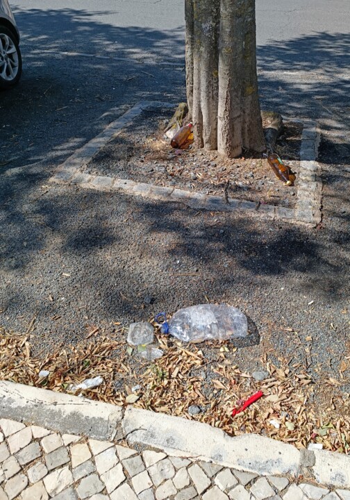 Lixo nas ruas de Beja (2).jpg