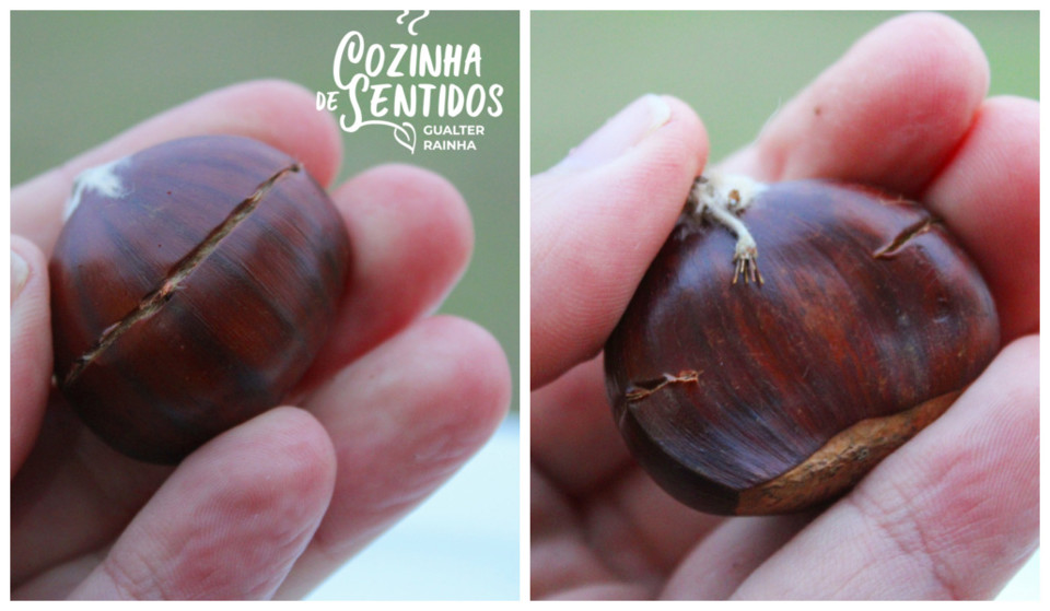 1605876823780294 (1).jpg