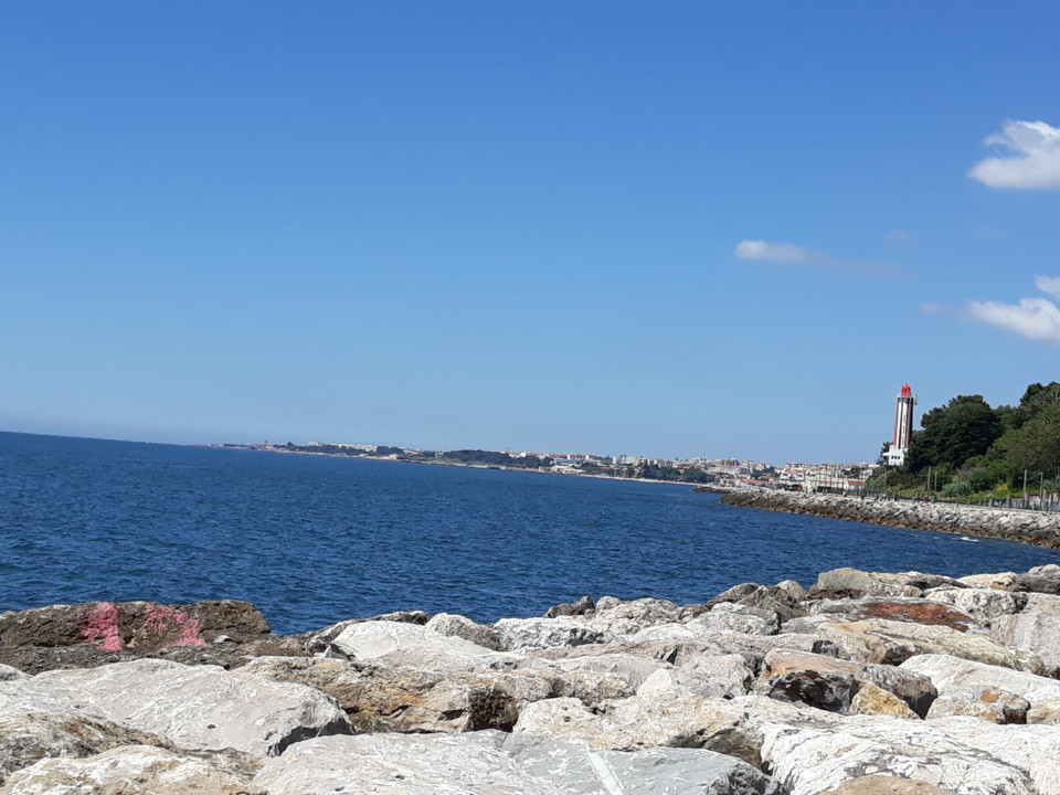 20200516_120018.jpg 20200516_120018.jpg