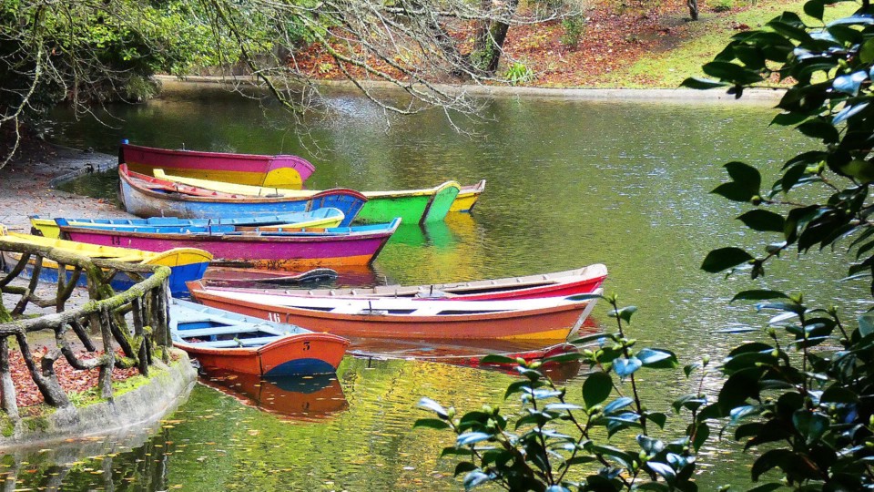 124439382_10218781115134066_2811856323250561324_o.