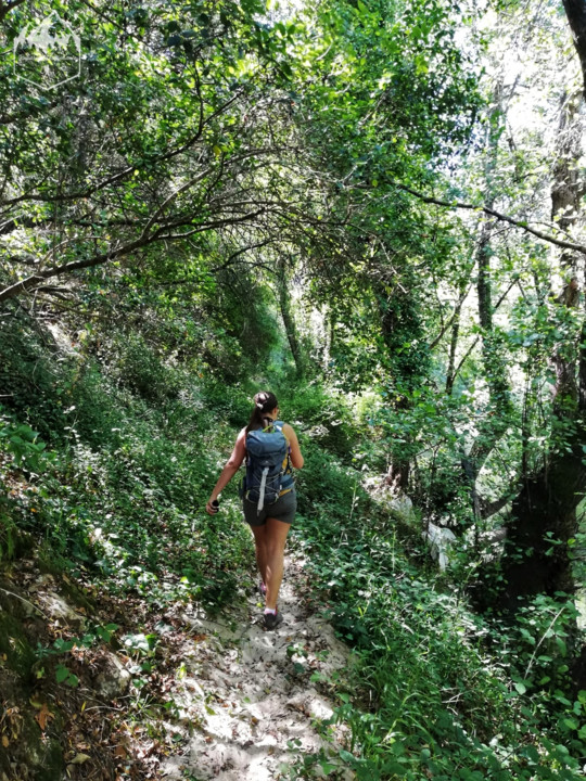 Photo_1596311971880.jpg Photo_1596311971880.jpg