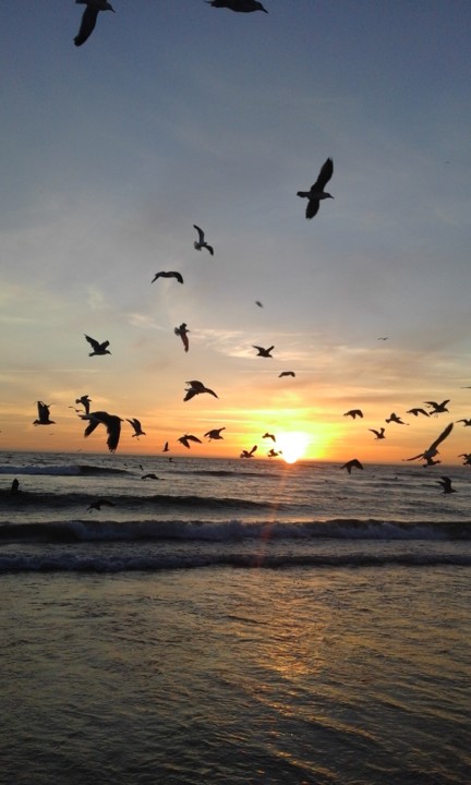 Foto Original. Costa da Caparica. 2020. 08. jpg