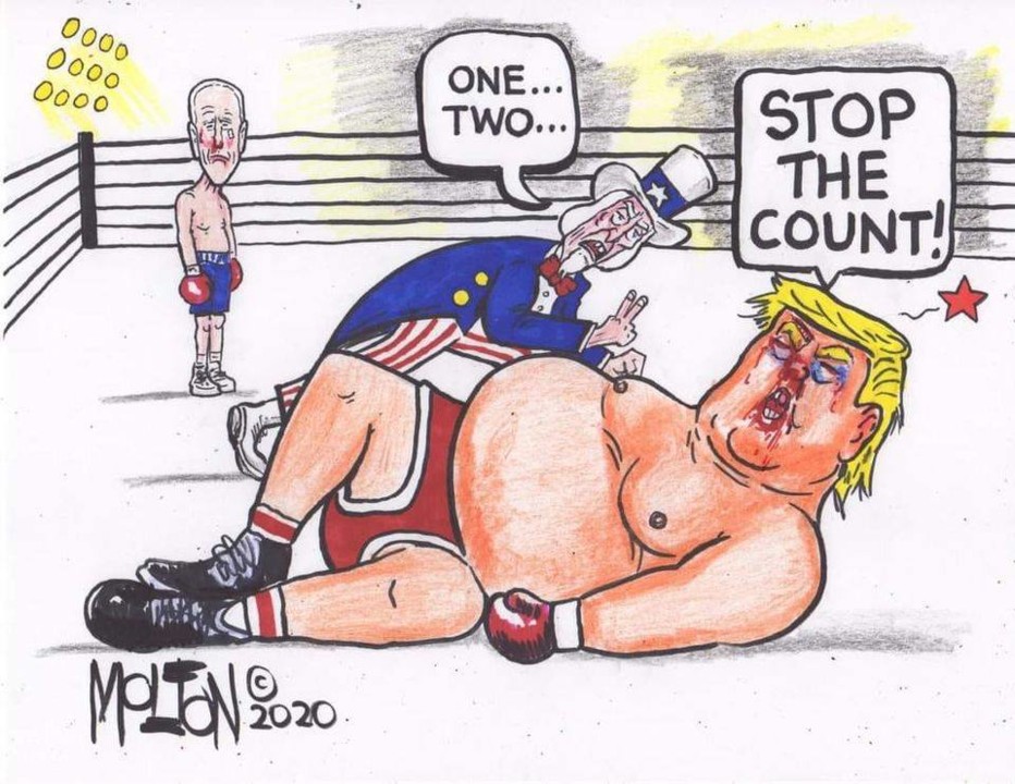 USA eleições cartoon.jpg