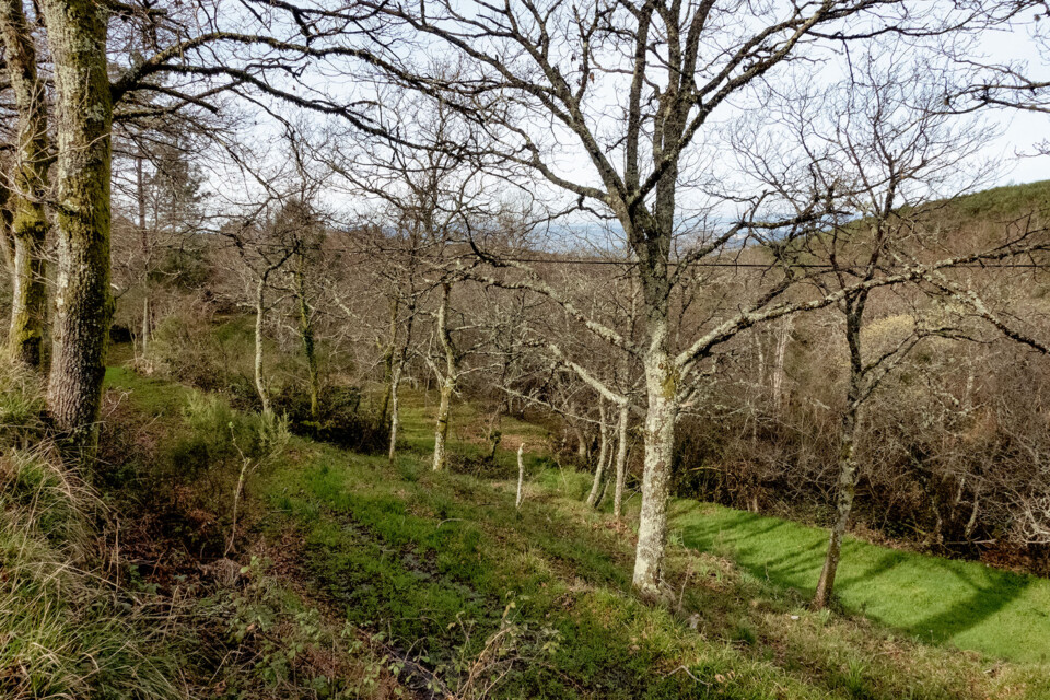 Serra da Aboboreira caminhada fev 2024 8.jpg