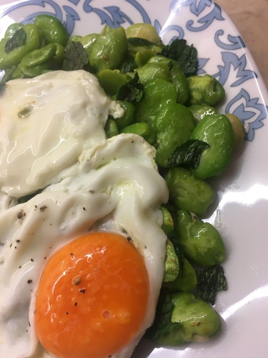 IMG_2740.jpeg IMG_2740.jpeg