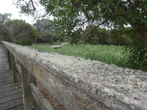 07a_Manhã_Praia_de_Mira (4).JPG