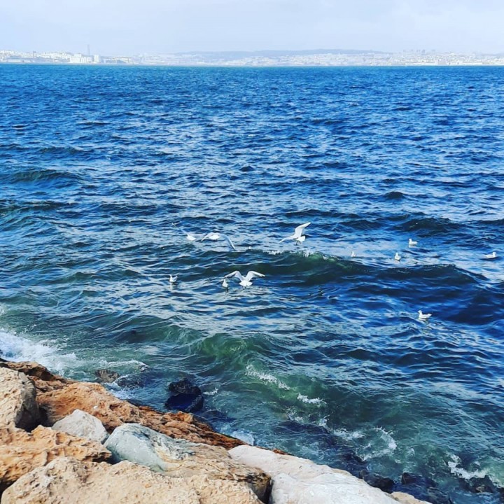 129727484_10220633693410870_3878829019767597274_o_