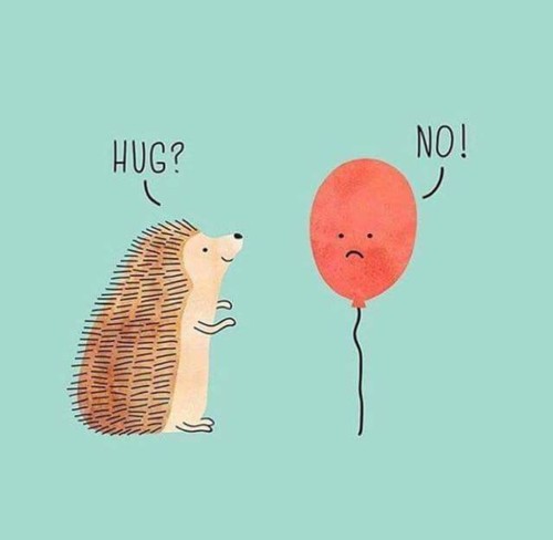 22549703_1610132055718009_9166859138846835589_n.jp 22549703_1610132055718009_9166859138846835589_n.jp