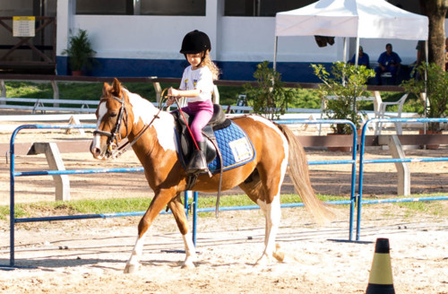 DSC_49371.jpg DSC_49371.jpg