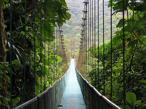 monteverde-cloud-forest-reserve-suspense-bridge.jp