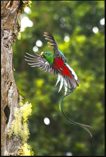 Screen Shot 2016-07-01 at 17.46.42.png