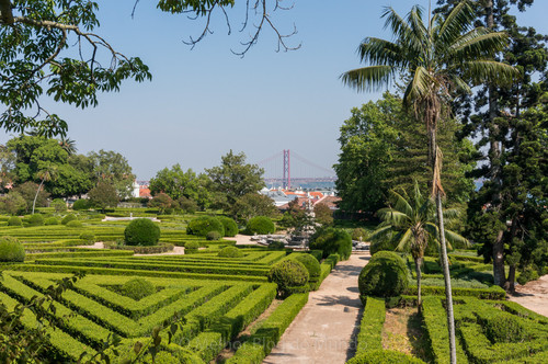 DSC00036.jpg DSC00036.jpg