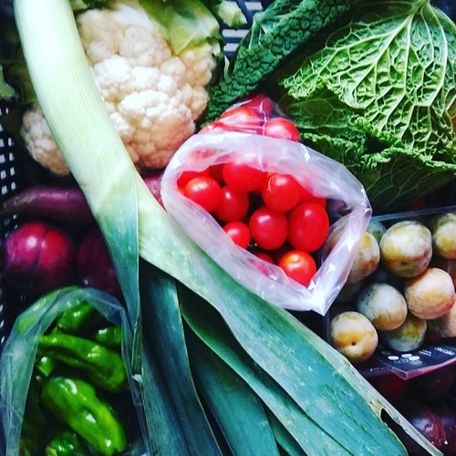 21762135_969185753221186_3512871521744616511_n.jpg 21762135_969185753221186_3512871521744616511_n.jpg