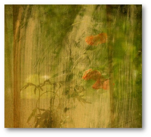 pavlina fátorová1a.jpg