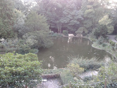 20151101_165043.jpg