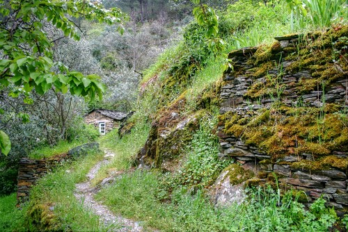 IMG_9764 - Cópia_ (2)_ (3)_tonemapped.jpg