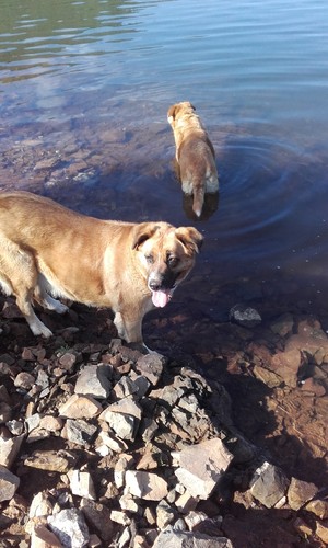 20170611_092944.jpg 20170611_092944.jpg