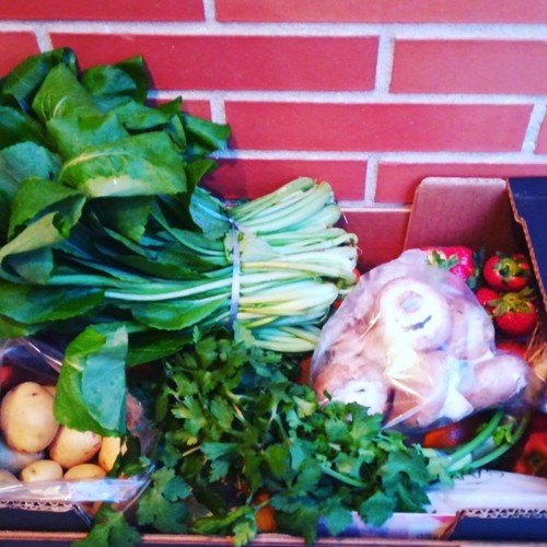 29694913_1072588439547583_8002351201968233749_n.jp