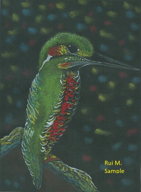 Sample Passaro1 Desenhos.jpg