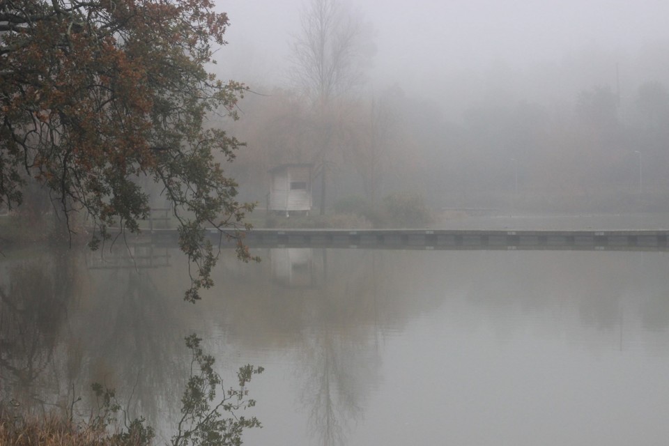 Barragen do Bonito Entroncamento.jpg