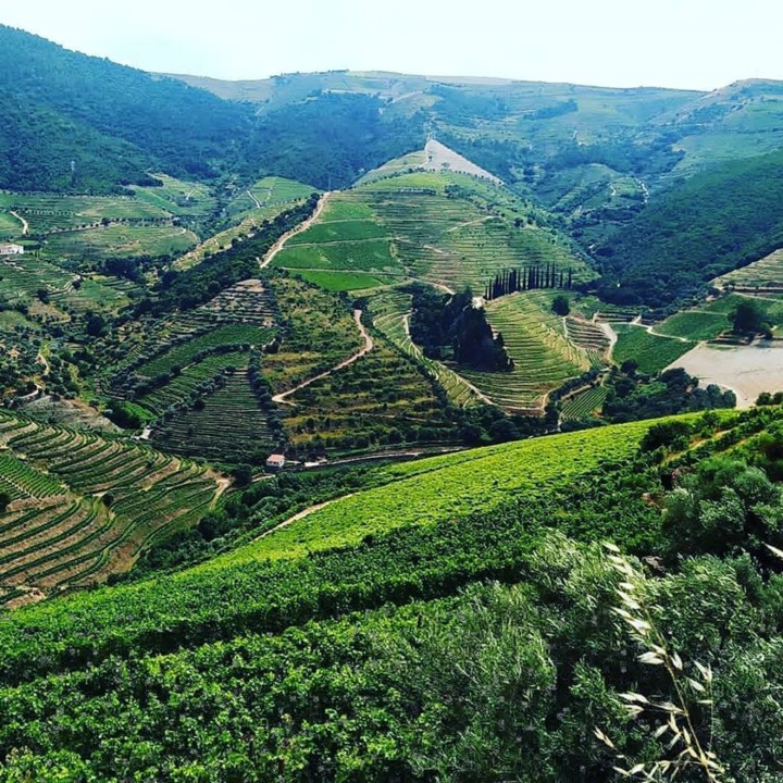 101962505_10214889810393629_3548418826629856628_o. 101962505_10214889810393629_3548418826629856628_o.