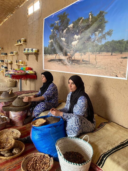 Imagem WhatsApp 2024-04-15 às 14.06.25_ea4533d0.j