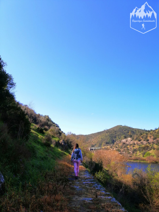 Photo_1583864053966.jpg Photo_1583864053966.jpg