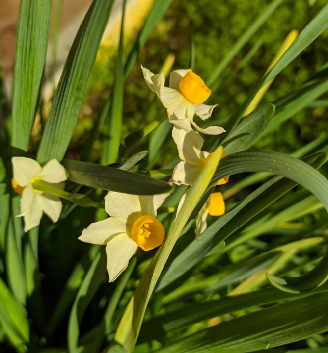 IMG_20201225_234200.jpg IMG_20201225_234200.jpg