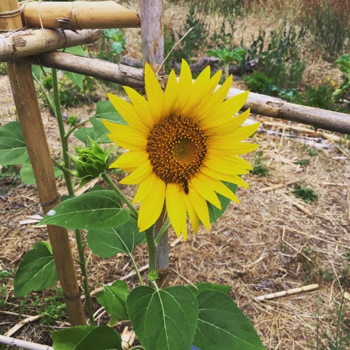 144139499_1913138012167316_3860496575938584654_n.j