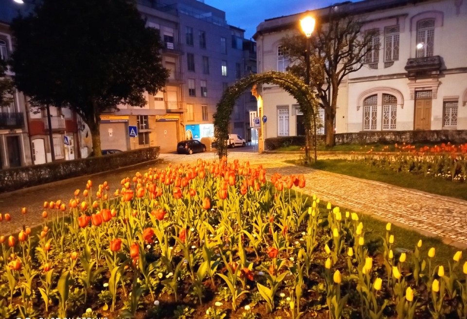 IMG_20210225_205305.jpg IMG_20210225_205305.jpg