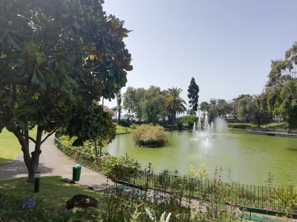 IMG_20200719_120748.jpg IMG_20200719_120748.jpg