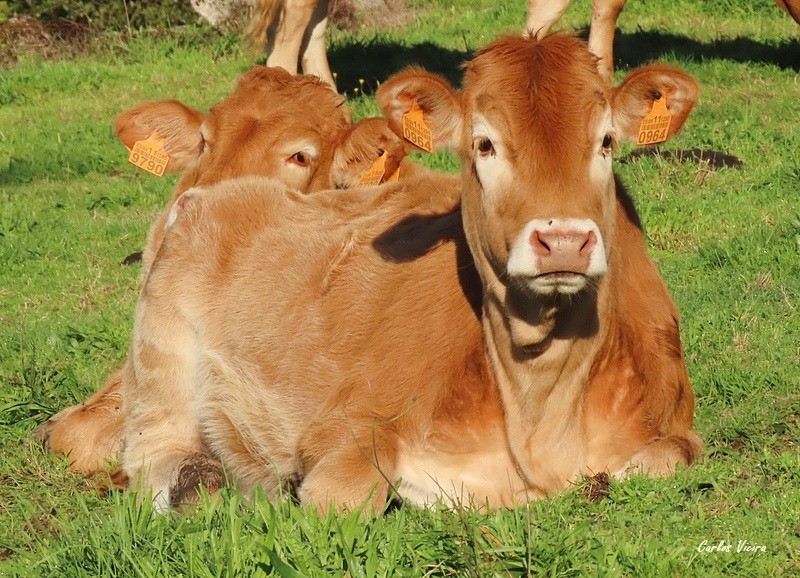 123145548_10224992642469813_5794567923071337598_n.