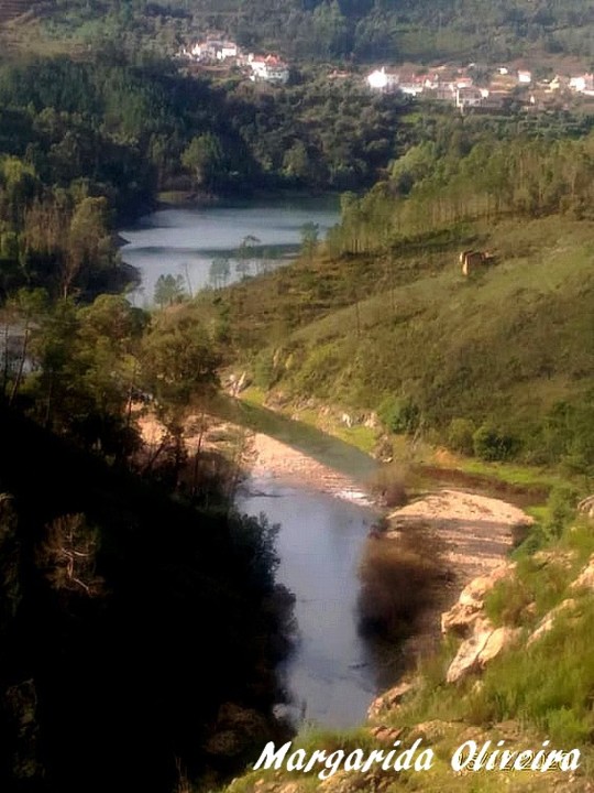 131440726_506397590335896_4652115311738856491_n.jp