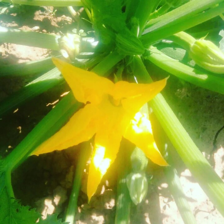 293078547_2360617157411365_5084283931015180302_n.j