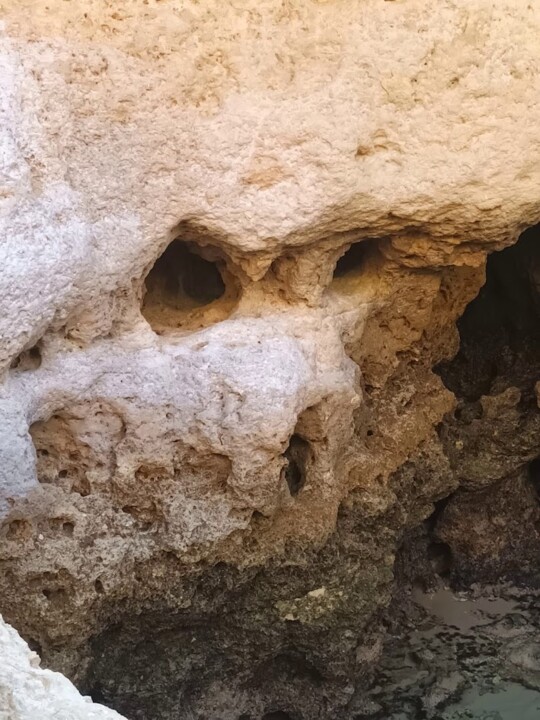 Não me canso disto eu.jpg