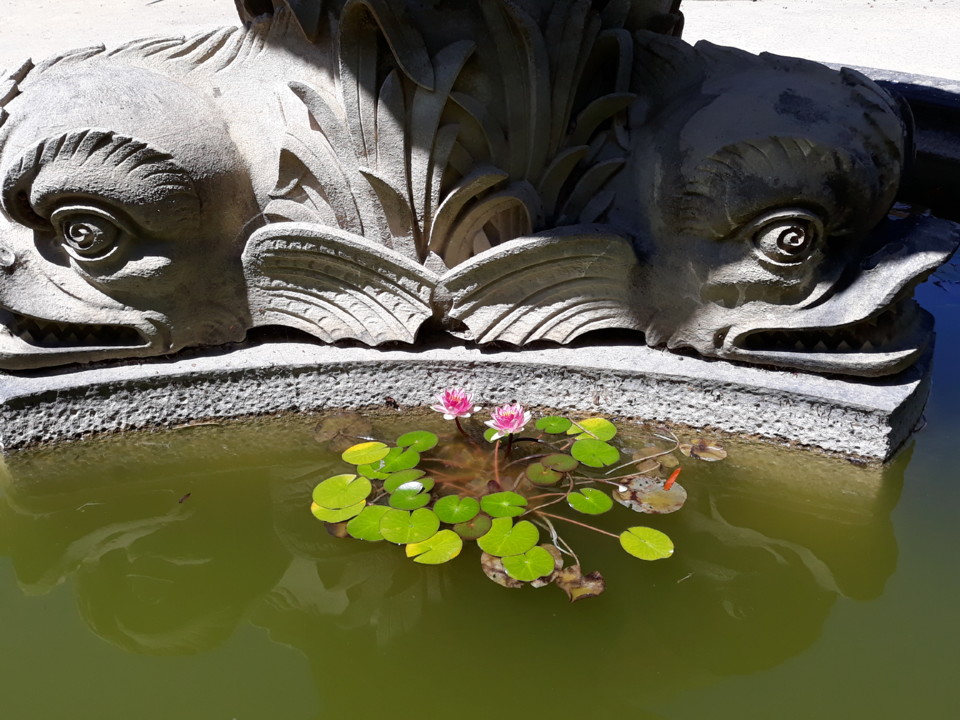 20200816_135428.jpg 20200816_135428.jpg