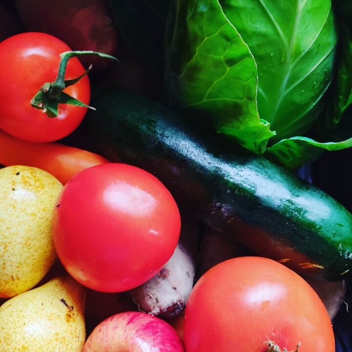 472929796_999580445532699_5226323873990913810_n.jp