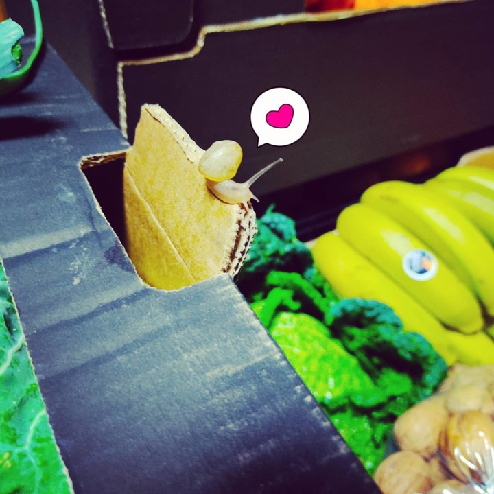 150391548_1950151251791293_579676546647172940_o.jp