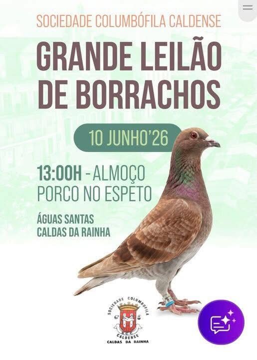 10 junho caldas.jpg