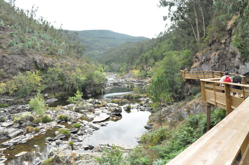 DSC_0061.JPG DSC_0061.JPG