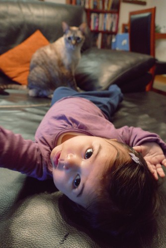 P1100126.JPG P1100126.JPG