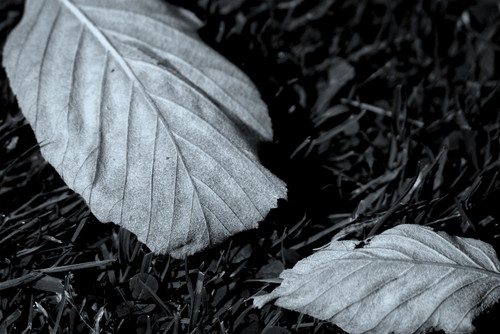 file000590484029.jpg file000590484029.jpg