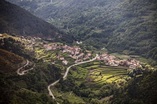 981424.jpg 981424.jpg