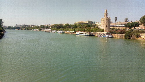 P_20170809_173650.jpg P_20170809_173650.jpg