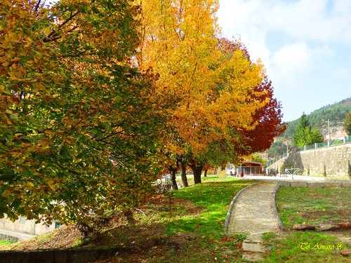 Fotos de Outono !!! 019.jpg