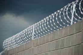 concertina.1.jpg concertina.1.jpg