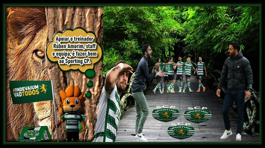 Apoiar Ruben  staff equipa.jpg