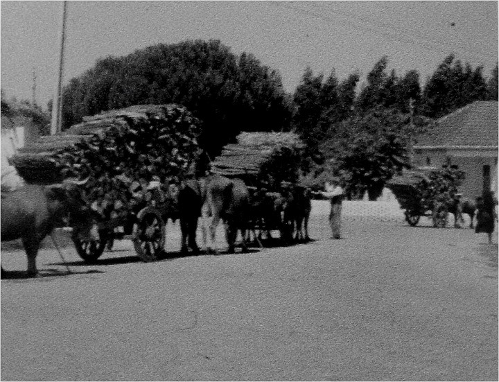 CONTROLO DE CARRADAS.jpg