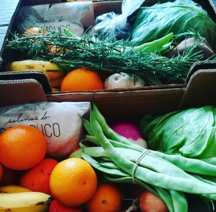 73323477_1498832753589814_2046674520680431616_n.jp