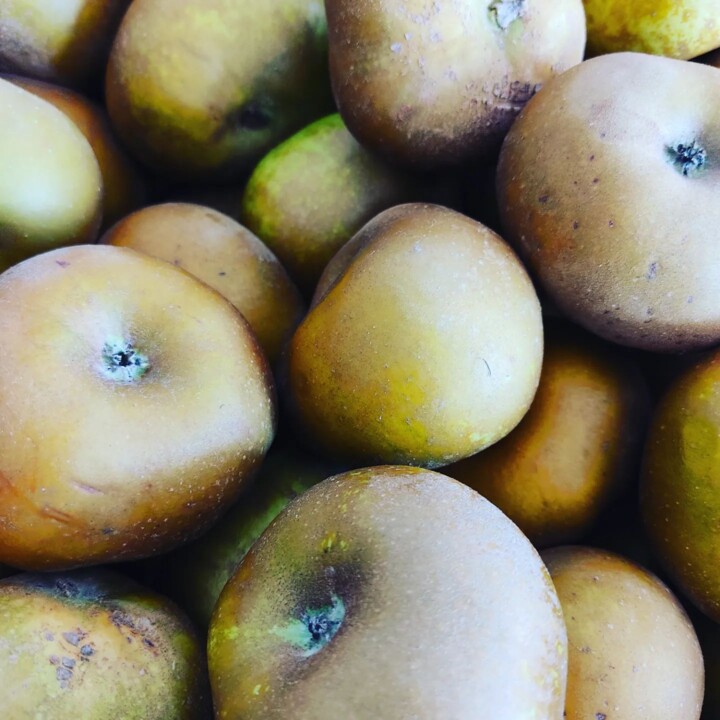 328723525_520543436728574_3814378478839896461_n.jp